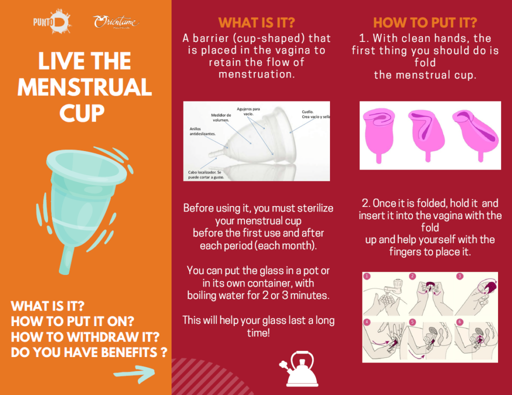 Menstrual cup, a toast for gender equity Oriéntame