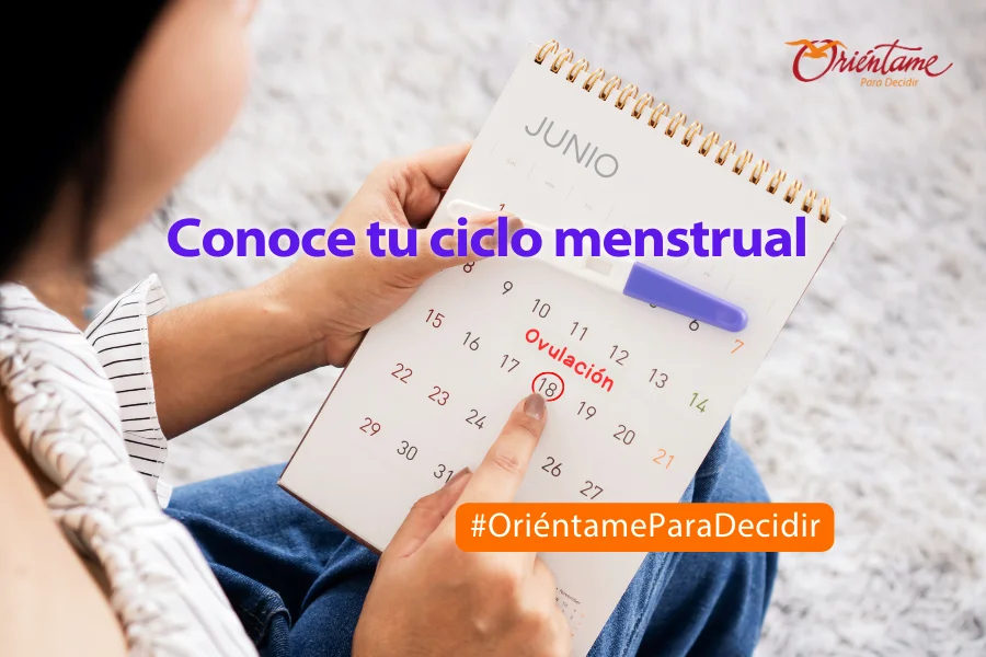 Conoce tu ciclo menstrual